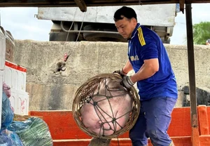 Carrying Tet to Ly Son: Bringing Holiday Joy to the Outpost Island - image 7