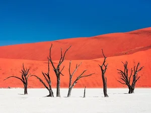 Unveiling the Secrets of the World's Oldest Desert - image 1