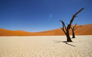 Unveiling the Secrets of the World's Oldest Desert - image 2