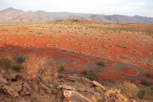 Unveiling the Secrets of the World's Oldest Desert - image 0