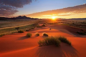 Unveiling the Secrets of the World's Oldest Desert - image 3
