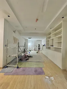 Dan Le Inspires with Hands-On Home Renovation Alongside Her Sons - image 2