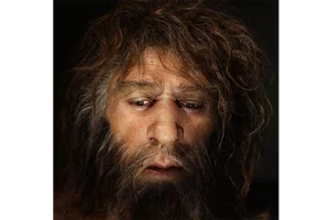 Did Interbreeding Lead to the Extinction of Neanderthals? A Scientific Perspective - image 5