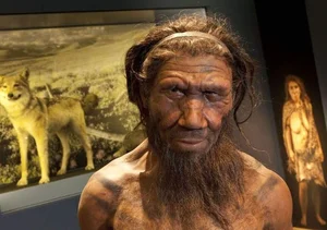 Did Interbreeding Lead to the Extinction of Neanderthals? A Scientific Perspective - image 8