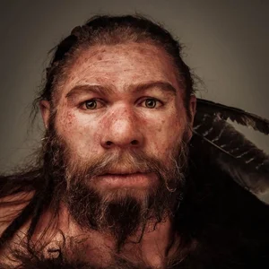 Did Interbreeding Lead to the Extinction of Neanderthals? A Scientific Perspective - image 2