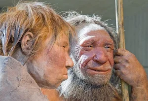 Did Interbreeding Lead to the Extinction of Neanderthals? A Scientific Perspective - image 7