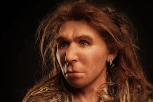 Did Interbreeding Lead to the Extinction of Neanderthals? A Scientific Perspective - image 6