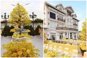 Inside the Luxurious Tet Decorations at Billionaire Johnathan Hanh Nguyen's Villa - image 9