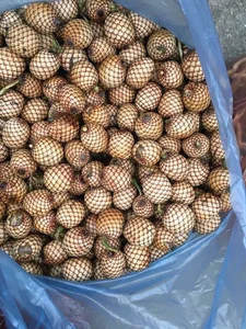 From Wild Forests to Luxury Markets: 4 Exotic Fruits Highly Coveted by Foodies - image 2
