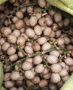 From Wild Forests to Luxury Markets: 4 Exotic Fruits Highly Coveted by Foodies - image 8