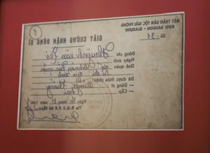 Declassified US Military Records Provide Crucial Leads in Locating Fallen Soldiers' Remains - image 4