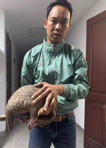 Vu Quang National Park Successfully Releases Six Rare Masked Palm Civets Back Into the Wild - image 2