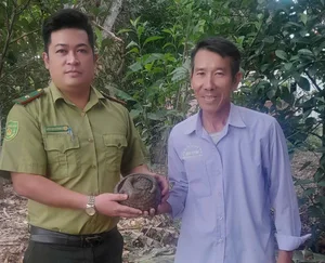 Vu Quang National Park Successfully Releases Six Rare Masked Palm Civets Back Into the Wild - image 1