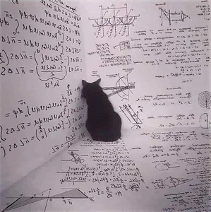 Decoding Quantum Physics: Exploring the Universe’s Most Mysterious Scientific Frontier - image 15