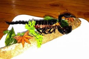 Dare to Taste: Exploring the Intimidating World of Fried Scorpion Delicacies and Exotic Street Food - image 10