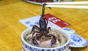 Dare to Taste: Exploring the Intimidating World of Fried Scorpion Delicacies and Exotic Street Food - image 9