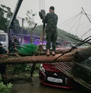 When the Sky Turns Black: Understanding Hanoi's Sudden Darkness and Expert Warnings - image 4