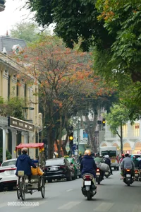 Hanoi Transforms into a Romantic Autumn Paradise During Leaf-Changing Season - image 2