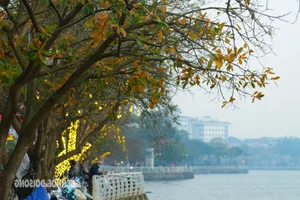 Hanoi Transforms into a Romantic Autumn Paradise During Leaf-Changing Season - image 7