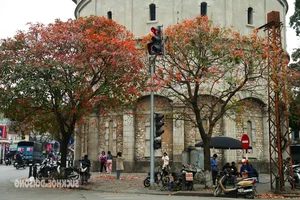 Hanoi Transforms into a Romantic Autumn Paradise During Leaf-Changing Season - image 5