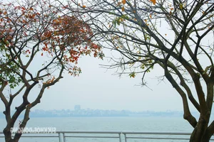 Hanoi Transforms into a Romantic Autumn Paradise During Leaf-Changing Season - image 8