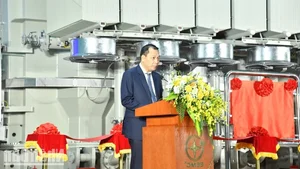 Vietnam's Emerging Tech Giants: Shaping the Future of Southeast Asia - image 2