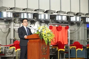Vietnam's Emerging Tech Giants: Shaping the Future of Southeast Asia - image 0
