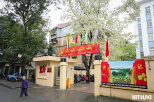 Youth Flock to Hanoi's Most Popular Sưa Flower Tree for Stunning Spring Photos - image 1