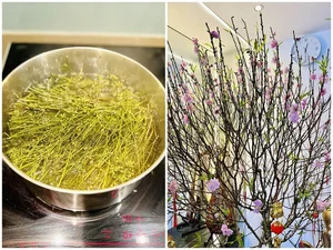 Inside Actress Minh Huong's Dream Apartment Design - image 6