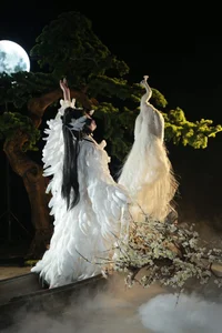 Art Language Vol.5245 Featuring Yu Gu Shan: A Visual Journey in Style - image 5