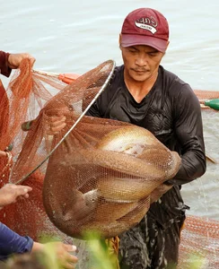 Eel Farming Success: How Mekong Delta Farmers Earn Millions Annually - image 5