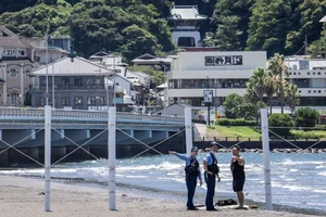 Japan Earthquake and the Phenomenon of Mass Whale Stranding - image 8