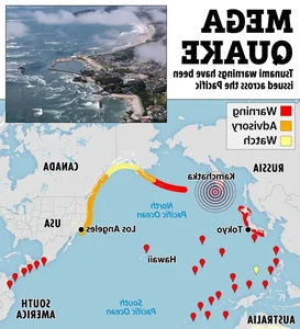 Japan Earthquake and the Phenomenon of Mass Whale Stranding - image 7