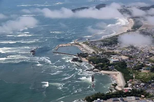 Japan Earthquake and the Phenomenon of Mass Whale Stranding - image 2