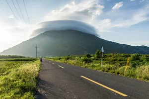 The Mystery of Vietnam's Sacred Mountain Snail - image 9