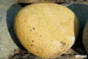 Queen's Beach: The Giant Egg-Shaped Stone Beach in Quy Nhon - image 8