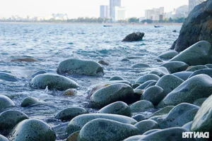 Queen's Beach: The Giant Egg-Shaped Stone Beach in Quy Nhon - image 1