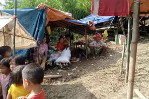 Lao Cai Village Chief's Heroic Evacuation Saves 115 Lives from Landslide - image 7