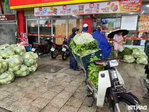 Hanoi Markets and Supermarkets Stabilize: Goods Abundant After Panic Buying Subsides - image 8