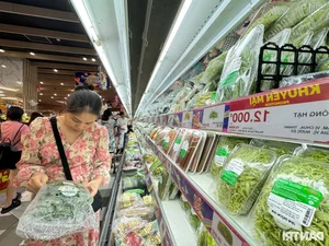 Hanoi Markets and Supermarkets Stabilize: Goods Abundant After Panic Buying Subsides - image 5