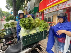 Hanoi Markets and Supermarkets Stabilize: Goods Abundant After Panic Buying Subsides - image 1