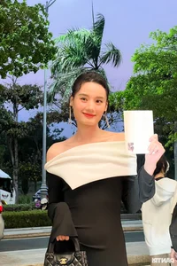 Minh Tu's Spectacular Wedding: A Night of High Fashion and Celebrity Glamour - image 6