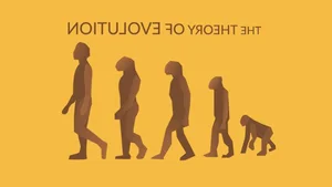 Surprising and Lesser-Known Facts About Darwin's Evolution Theory - image 9