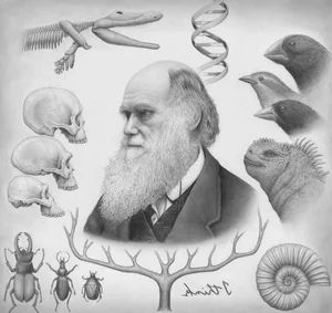 Surprising and Lesser-Known Facts About Darwin's Evolution Theory - image 0