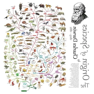 Surprising and Lesser-Known Facts About Darwin's Evolution Theory - image 2