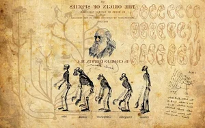 Surprising and Lesser-Known Facts About Darwin's Evolution Theory - image 7