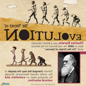 Surprising and Lesser-Known Facts About Darwin's Evolution Theory - image 6