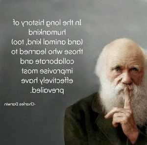 Surprising and Lesser-Known Facts About Darwin's Evolution Theory - image 3
