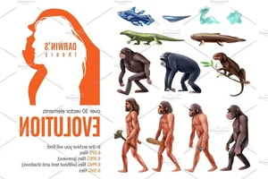 Surprising and Lesser-Known Facts About Darwin's Evolution Theory - image 10
