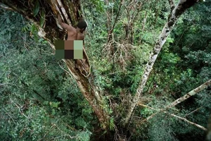Inside the Secret Lives of the World's Isolated Tree-Dwelling Tribes - image 10